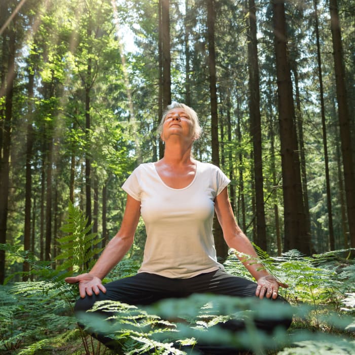 Woman in a forest, Well Earth Collaborative